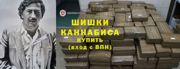 прущие грибы Балахна