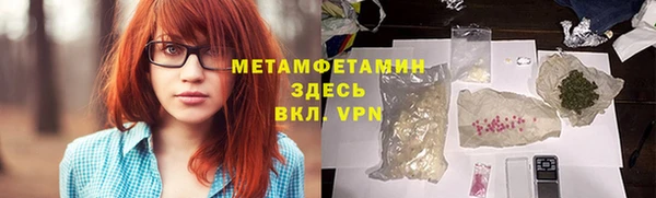 прущие грибы Балахна