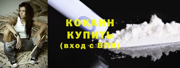 прущие грибы Балахна