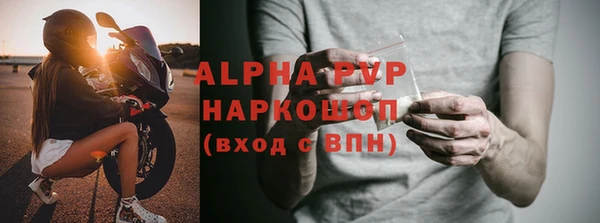 прущие грибы Балахна