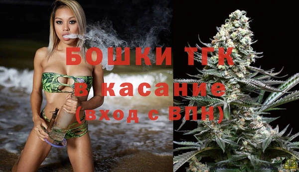 прущие грибы Балахна