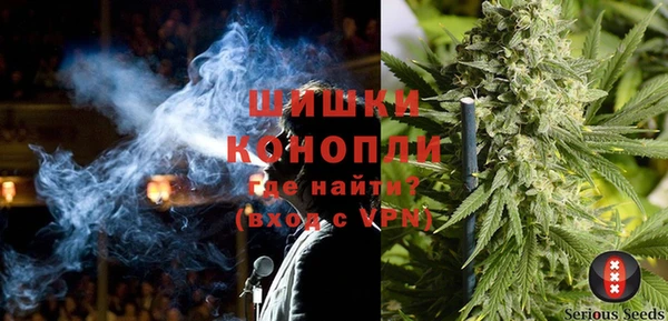 прущие грибы Балахна