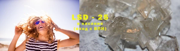прущие грибы Балахна