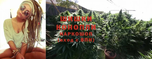 прущие грибы Балахна