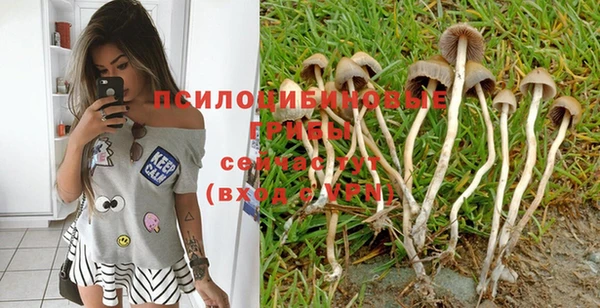 прущие грибы Балахна