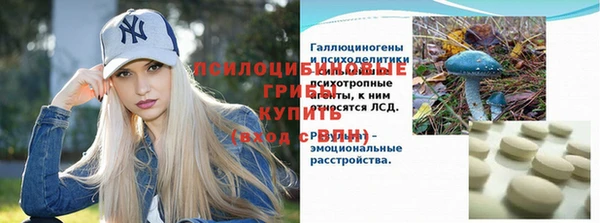 кокс Баксан